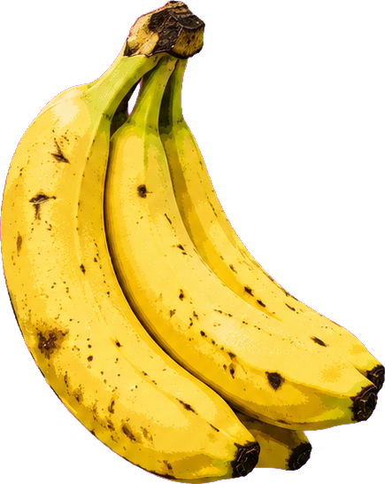 Bunch of bananas